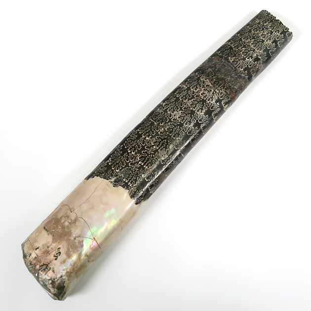 ツーソン新着フェア2026