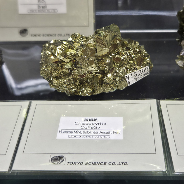 ツーソン新着フェア2026