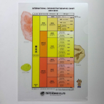 地質年代表クリアファイル新生代編