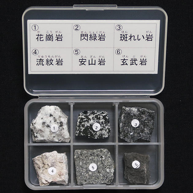 化石標本、鉱物標本、岩石標本の専門店