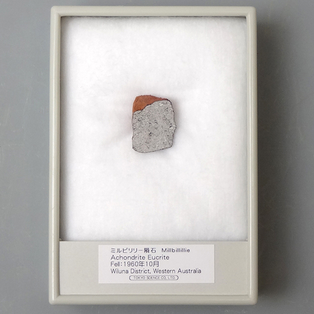 オンライン小売店 綺麗なダイオジェナイト NWA4664隕石標本 アンティーク/コレクション