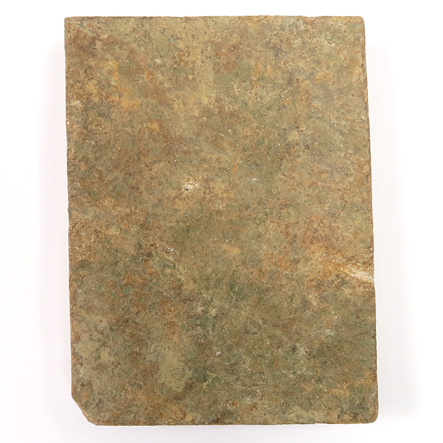 ネミアナ（エディアカラ動物群）