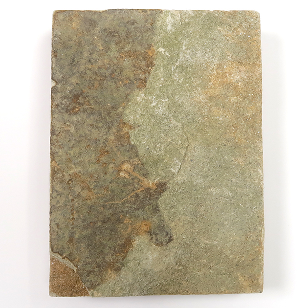 ネミアナ（エディアカラ動物群）