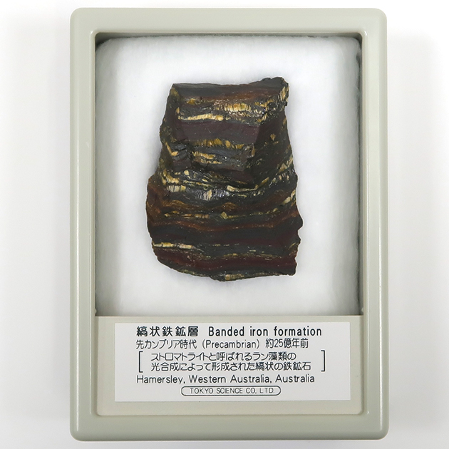 縞状鉄鉱層