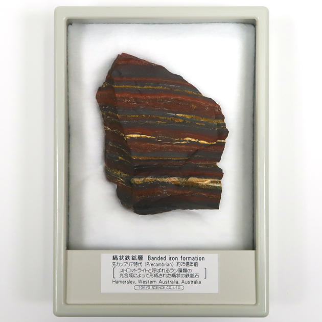 縞状鉄鉱層