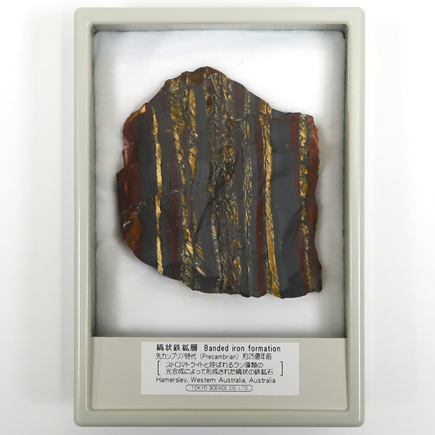 縞状鉄鉱層