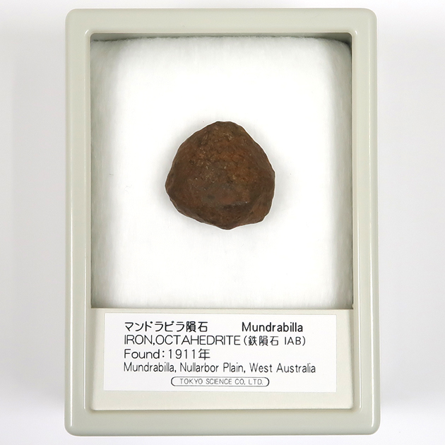 マンドラビラ隕石