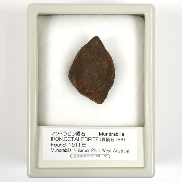 マンドラビラ隕石