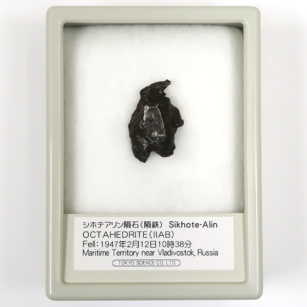 シホテアリン隕石