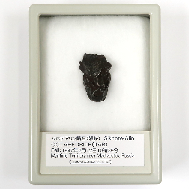 シホテアリン隕石