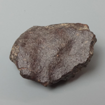 NWA869隕石