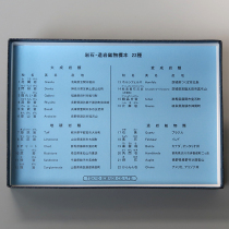 岩石・造岩鉱物標本22種