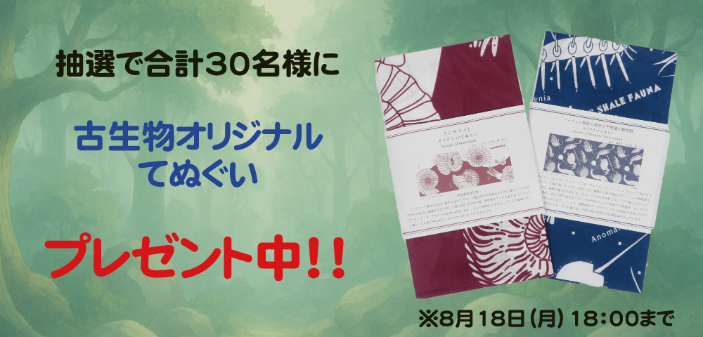 プレゼント企画