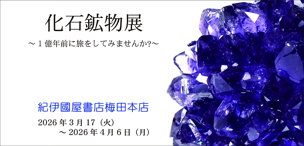 紀伊國屋書店梅田本店